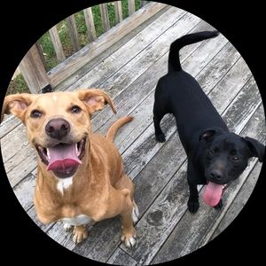 Meet your Posher, Marybeth